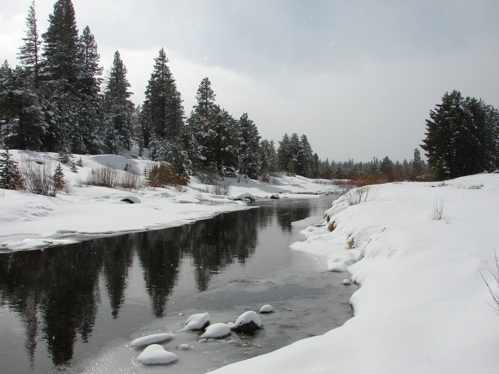 Fischbach Winter